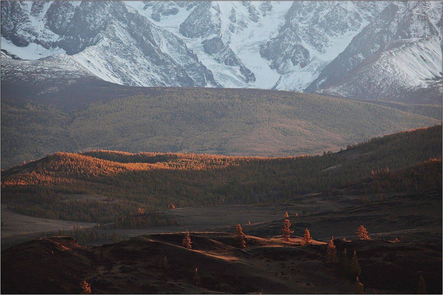 алтай, актру, Бур