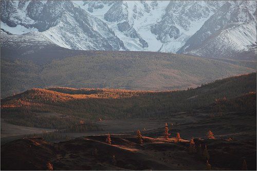 Чуйские фрагменты. Актру