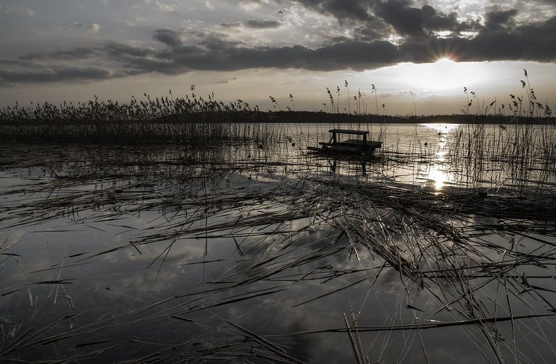 lake bench фото превью