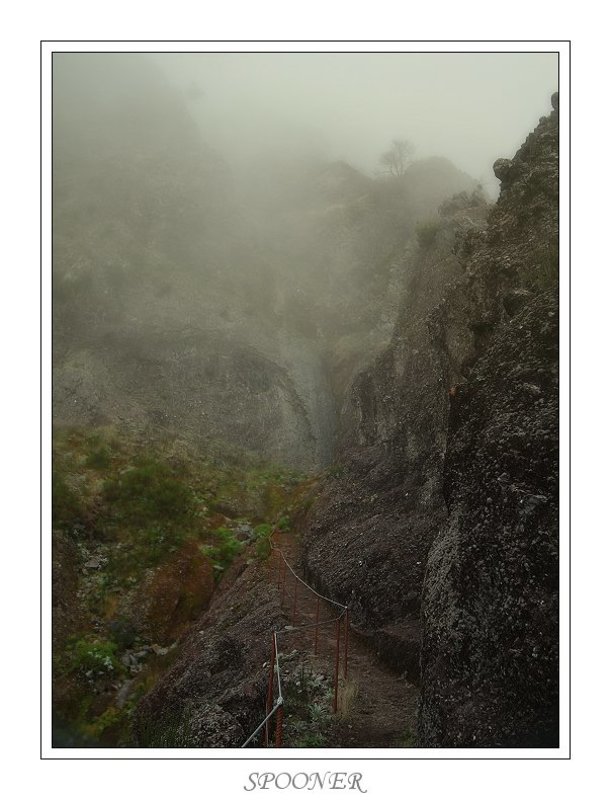 * * * фото превью