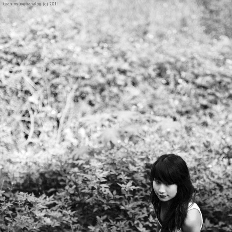 Lady Fox фото превью