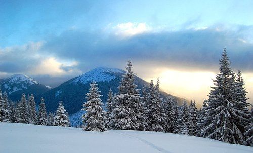 Зимові Ґорґани / Winter in Gorgany