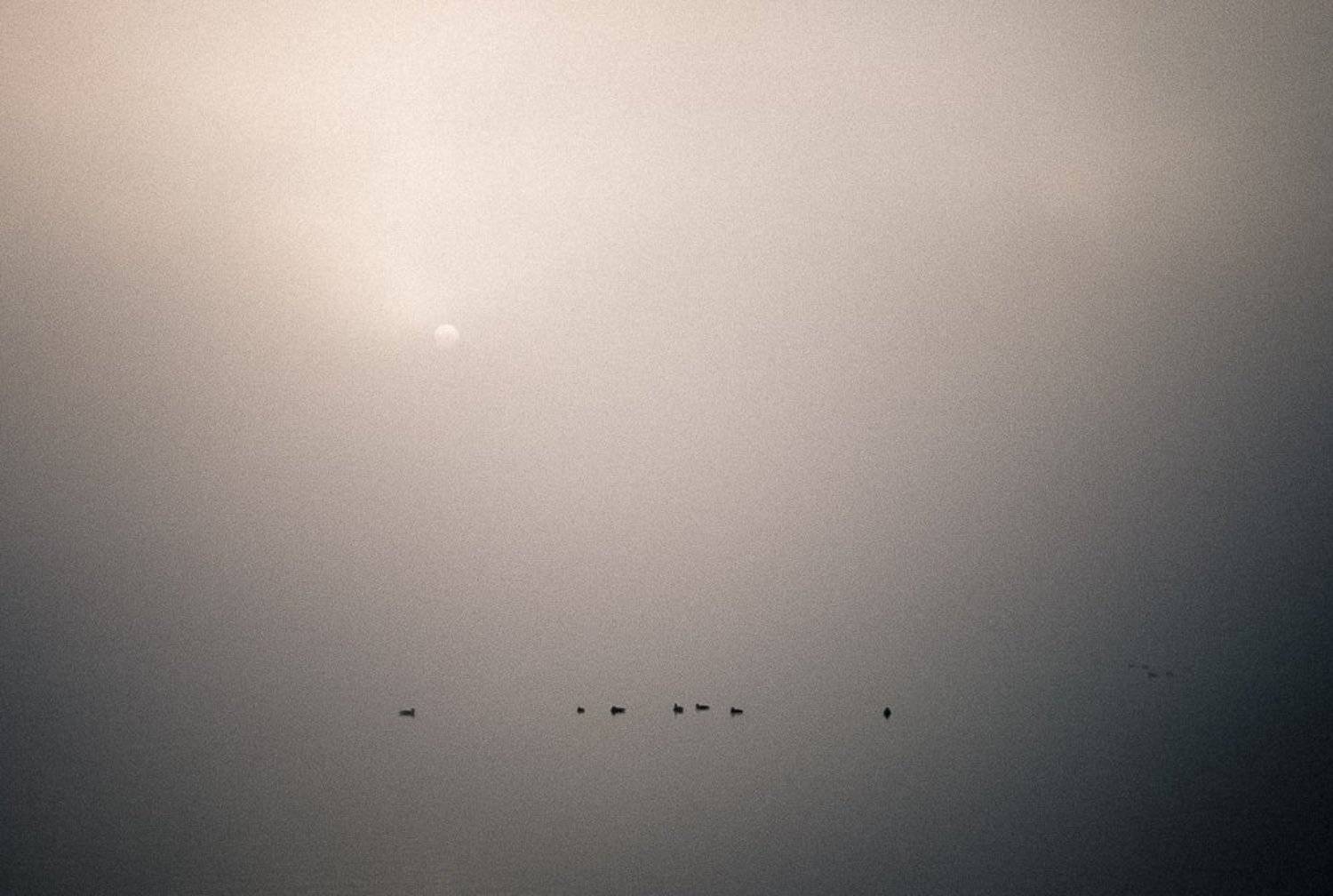 киев,оболонская набережная,днепр,туман,утро,осень,, Elena