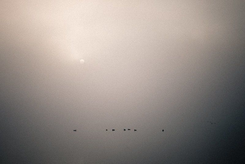 киев,оболонская набережная,днепр,туман,утро,осень, *** фото превью