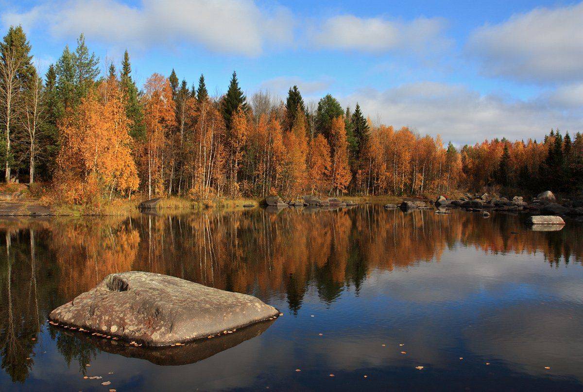 , Андрей Котов