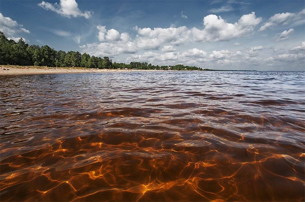 , Сергей Пархоменко