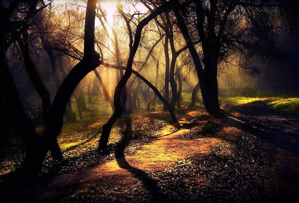 , Alexandru Popovski