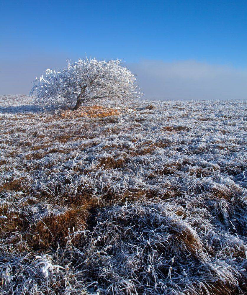 , Станислав Савицкий
