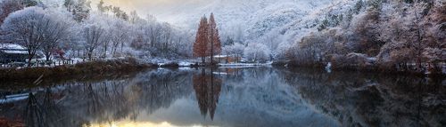 The First Snow