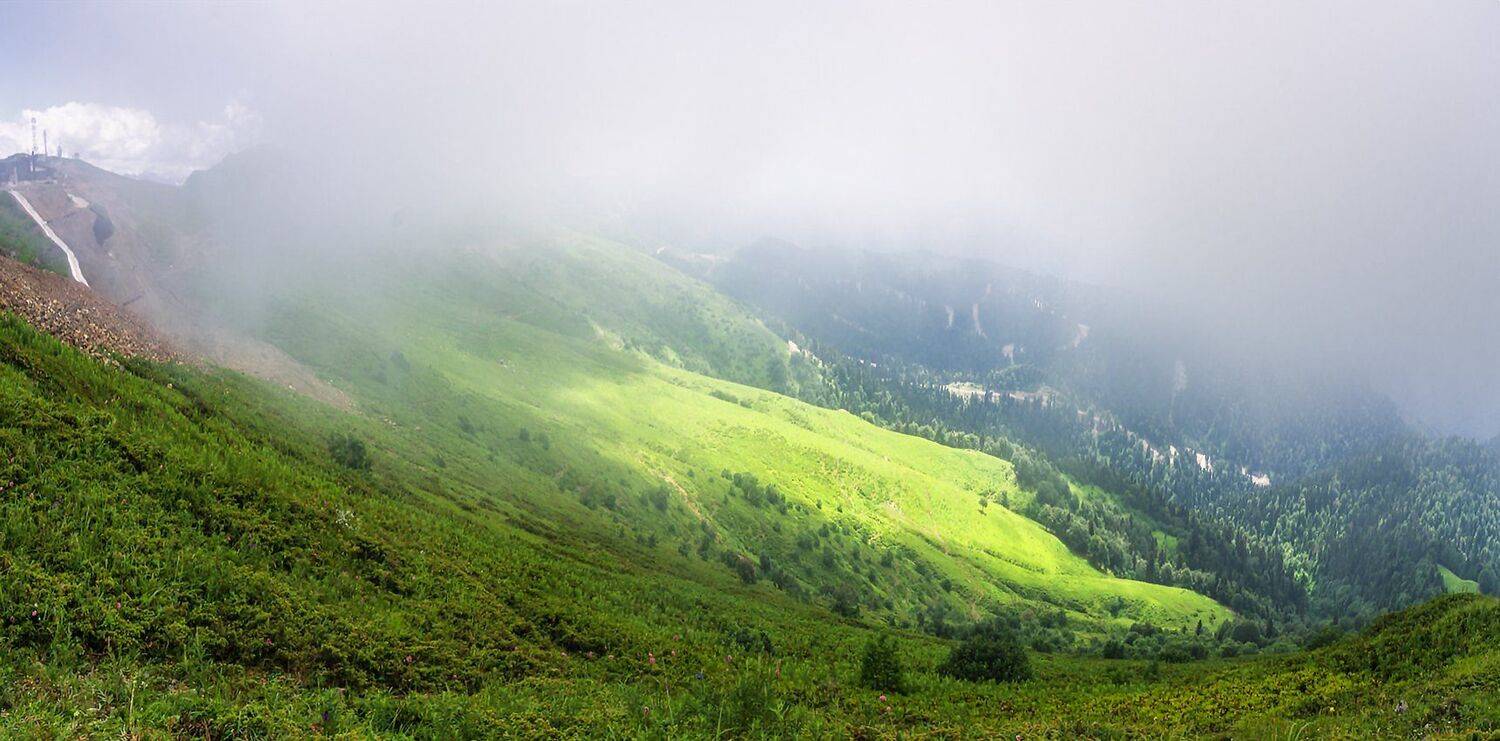 , Игорь Мелекесцев