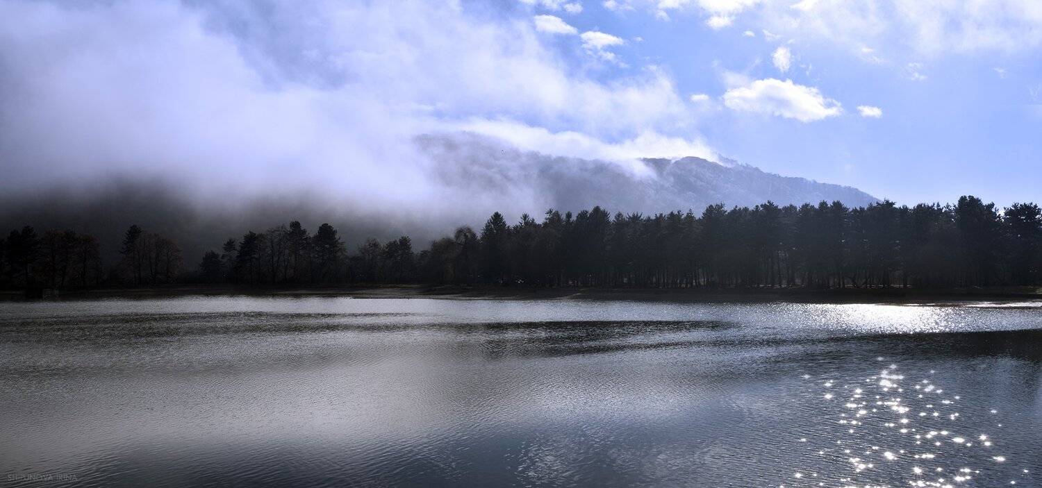 , Шипунова Ирина