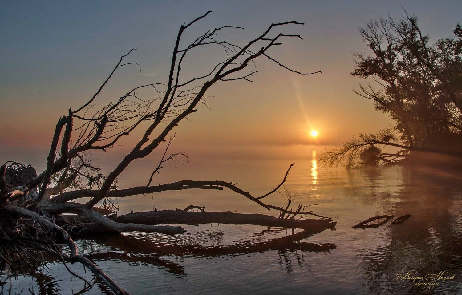 утро, рассвет, река, восход, осень, Валерий Наумов