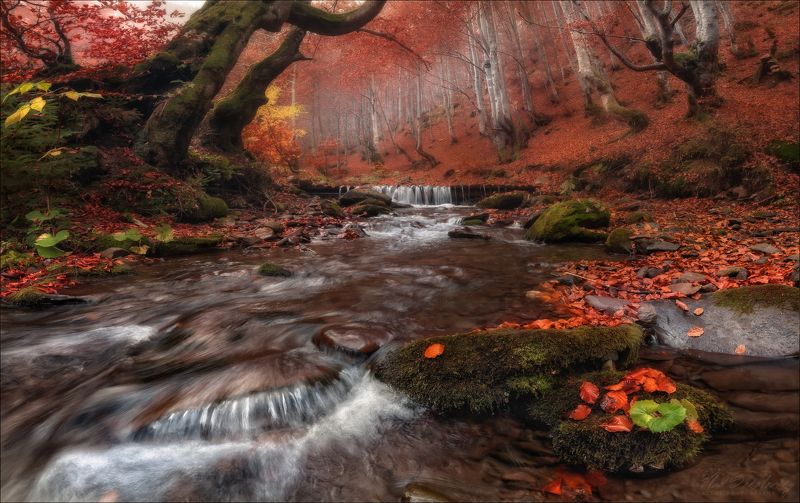 карпаты, украина, осень, горы, водопад, шипот, carpathian mountains, карпаты, водопад, шипот, украина, осень, горы, фототур по карпатам, влад соколовский, phototravel.pro, лумшоры, синевир, каменка, гук, ясиня, лазещина, петрос, говерла, горы, водопады, Осенние Карпаты .. фото превью