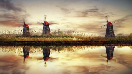 Reflection