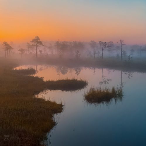 Разгорается заря