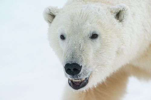 Неприятный тип....