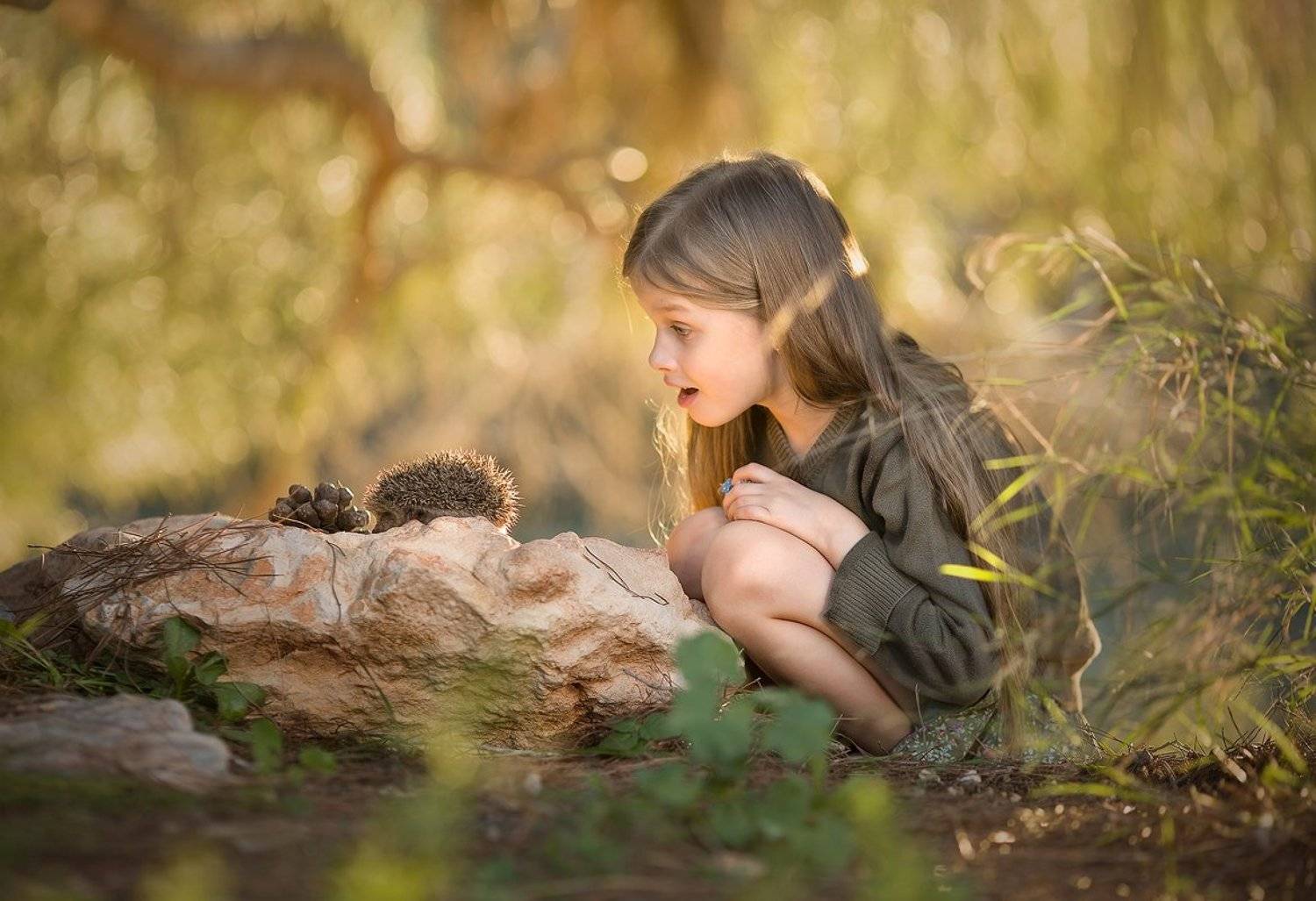 детство, природа, красота, горы, приключения, свет, солнце, деревья, ёж, Алёна Алешкевич