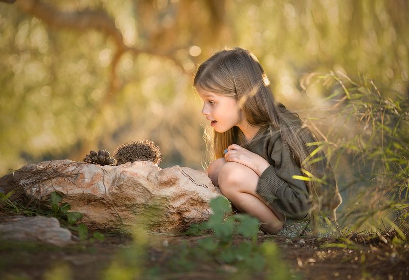 детство, природа, красота, горы, приключения, свет, солнце, деревья, ёж Случайный прохожий фото превью