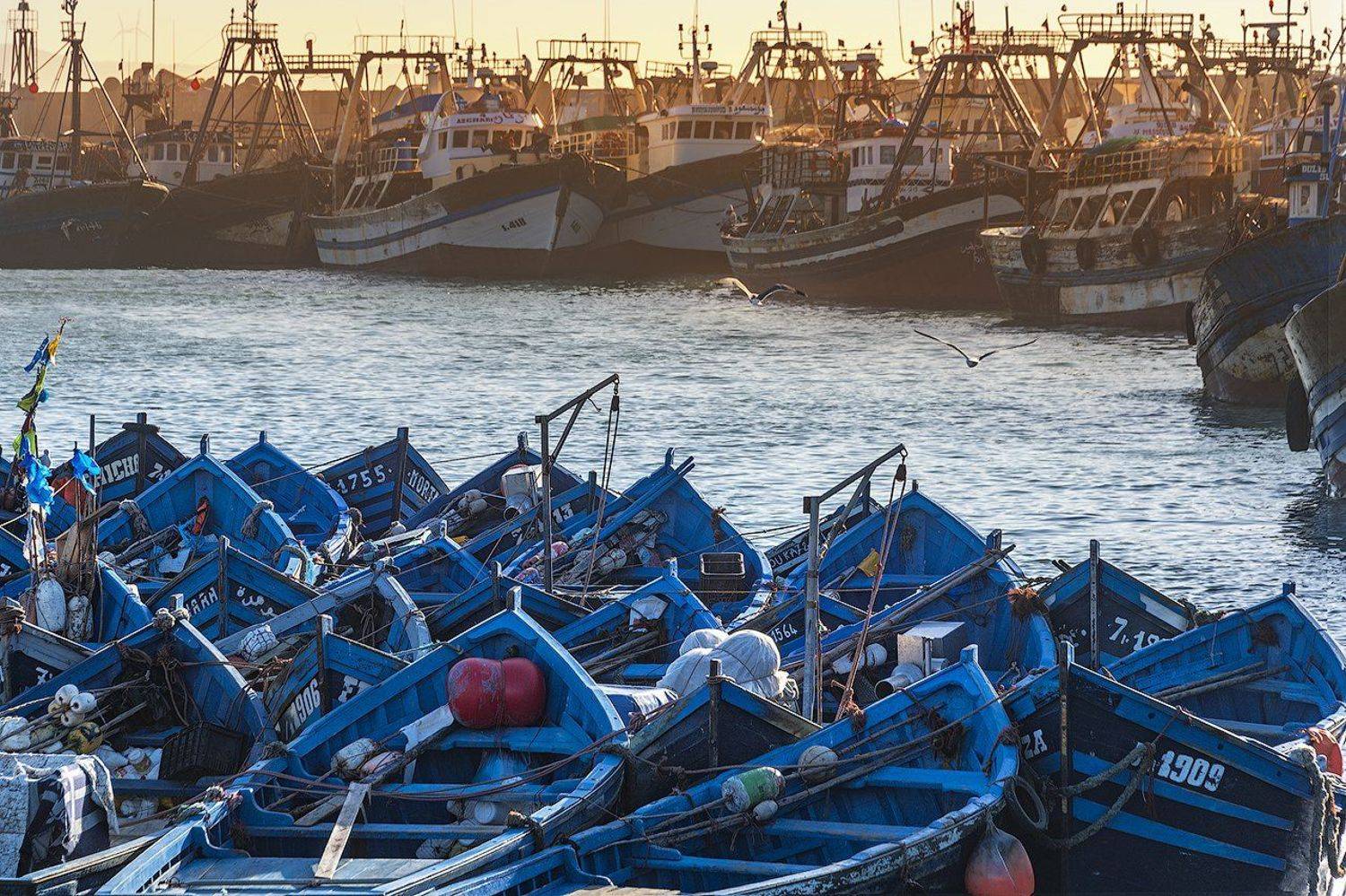 марокко, порт, лодка, эссуэйра, атлантика, рыбак, африка, могадор, Дмитрий Саприн