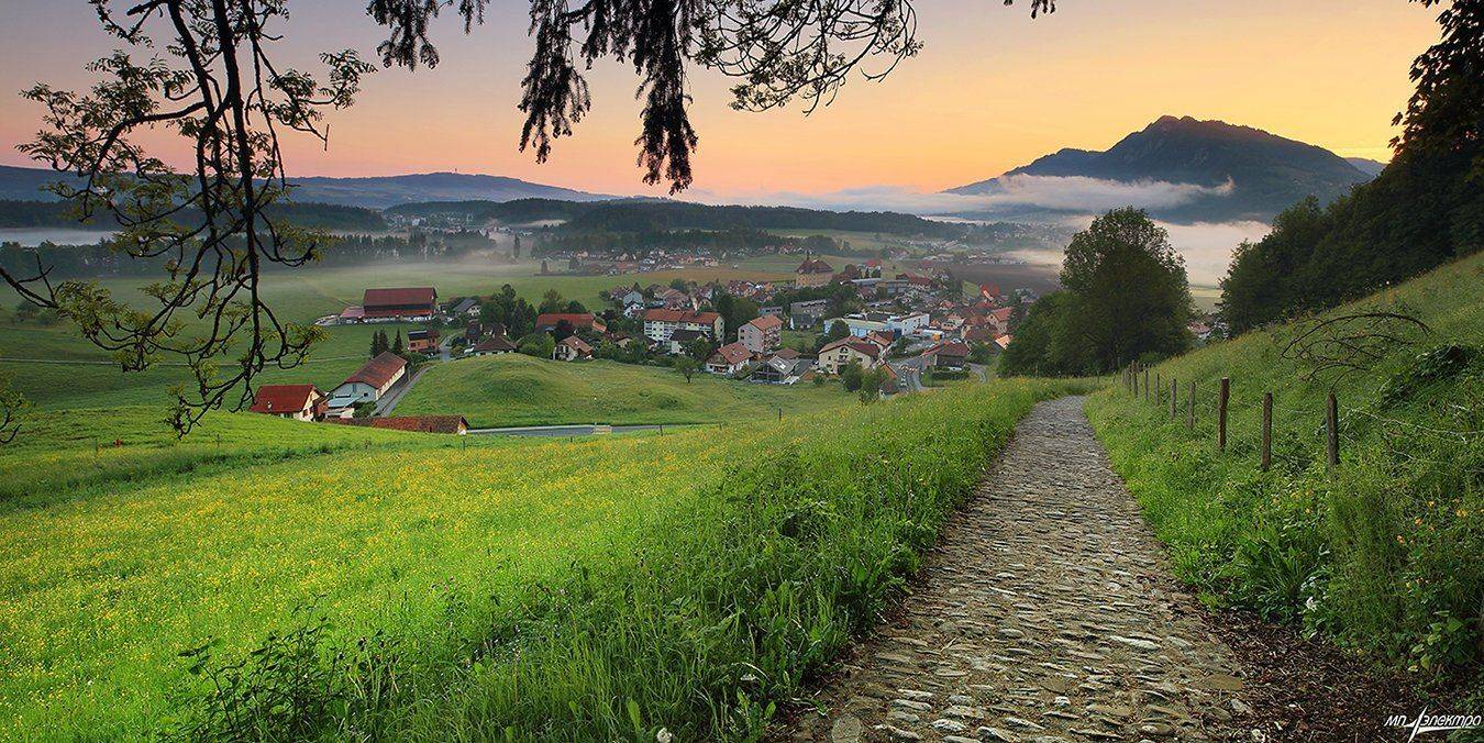 swiss, Матвеев Николай