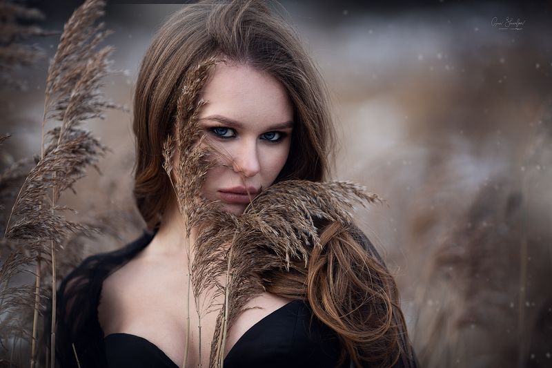портрет красота девушка арт Даша фото превью