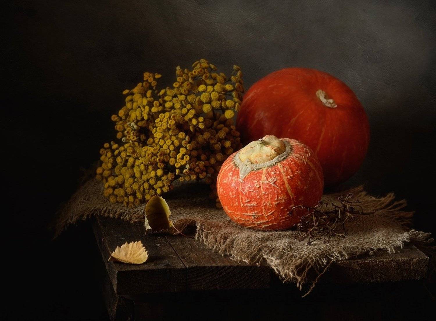 натюрморт,тыквы,пижма, Наталия К