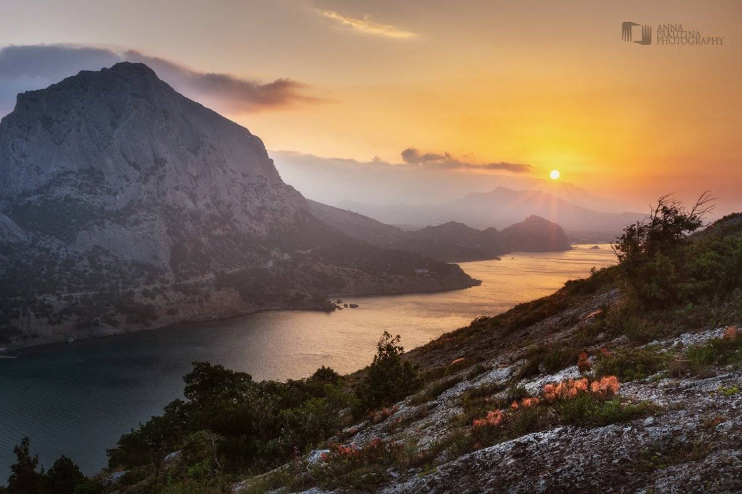 , Анна Пакутина