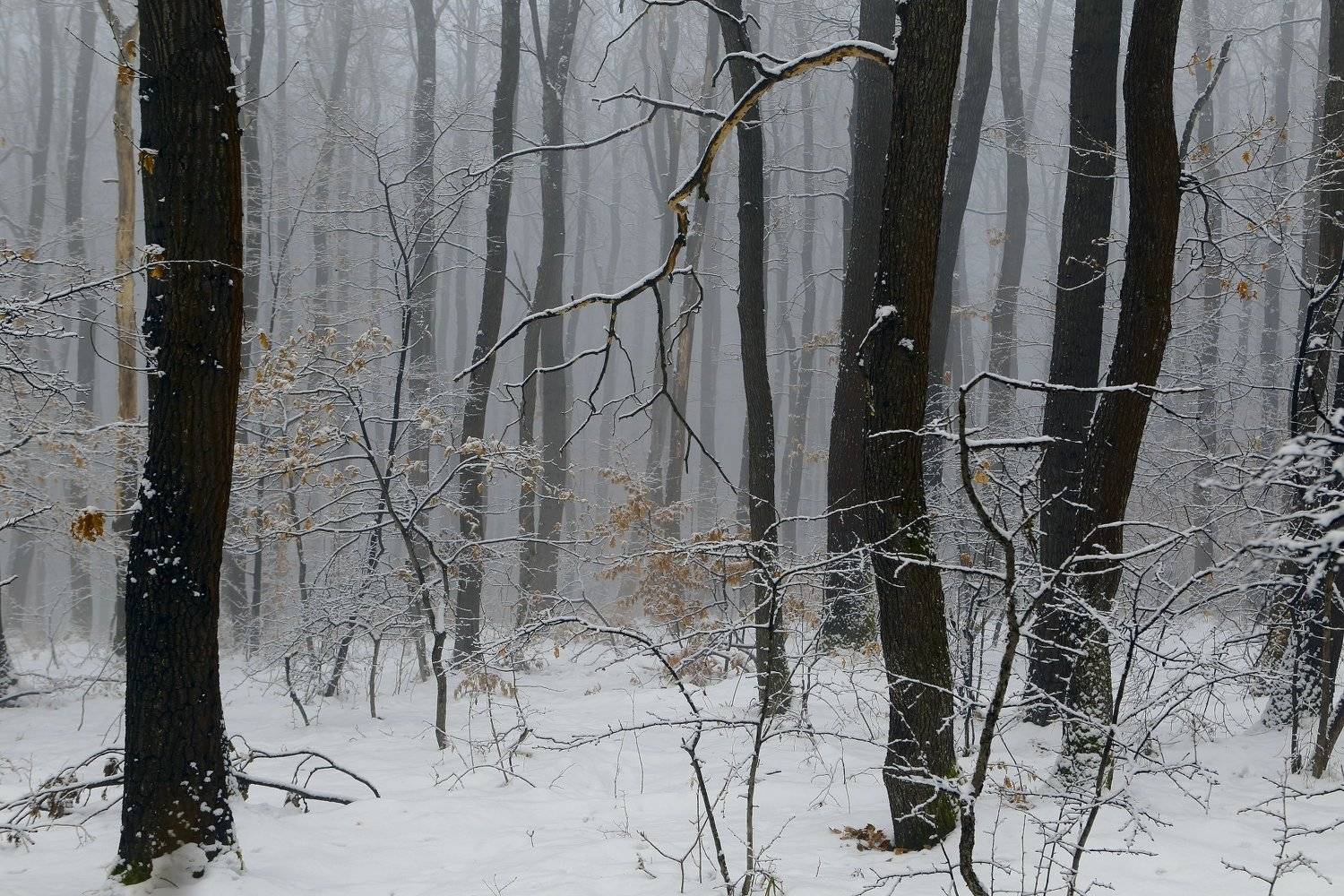 , Александър Сандев