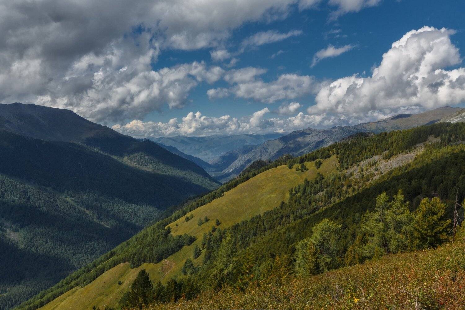 горы, облака, природа, алтай, рассвет, река, путешествие, россия, озеро, Шевченко Николай