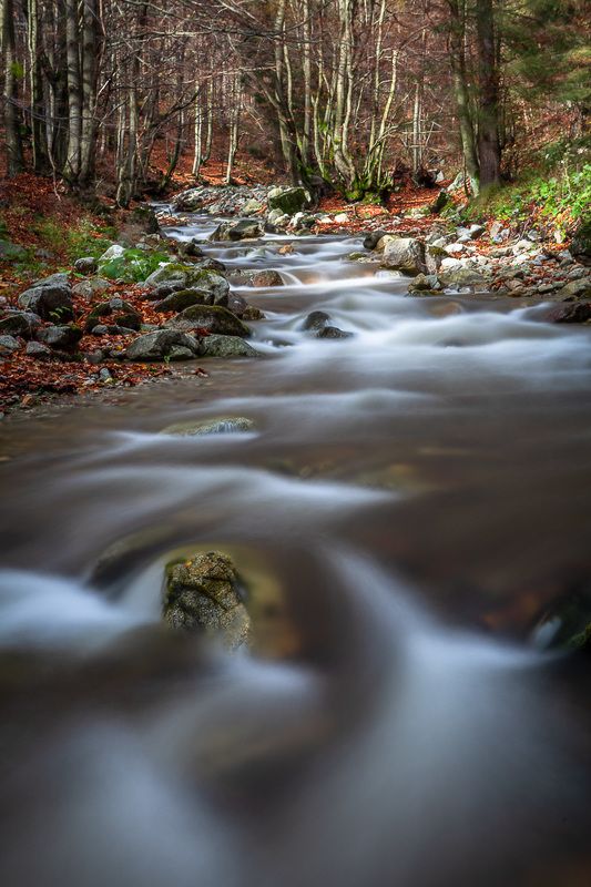 Šutrovski potok фото превью