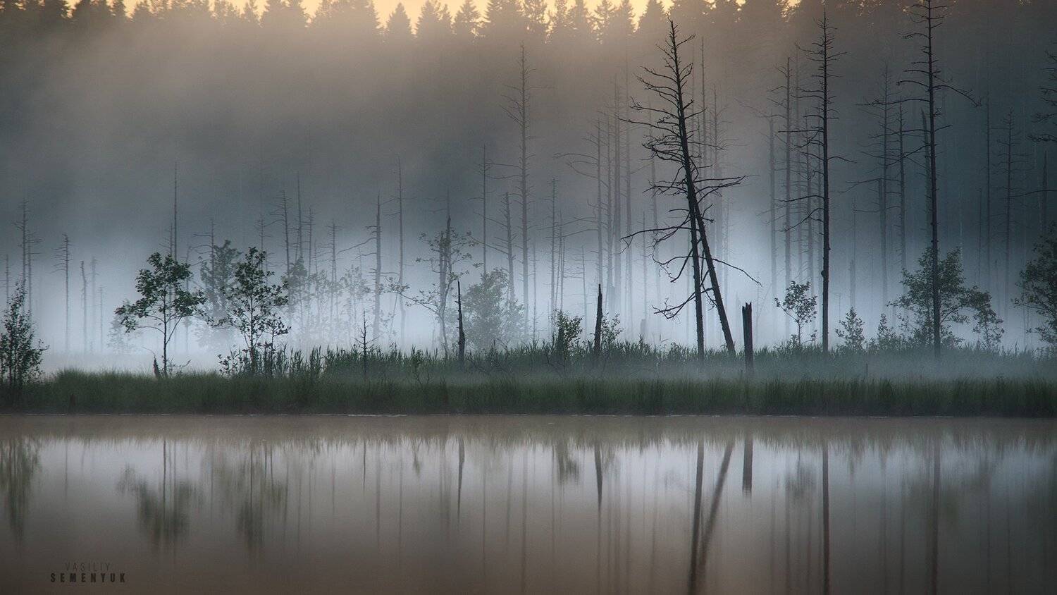 карелия, исо-ярви, озеро, болото, туман, деревья, закат, lake, swamp, fog, trees, karelia, dusk., Семенюк Василий