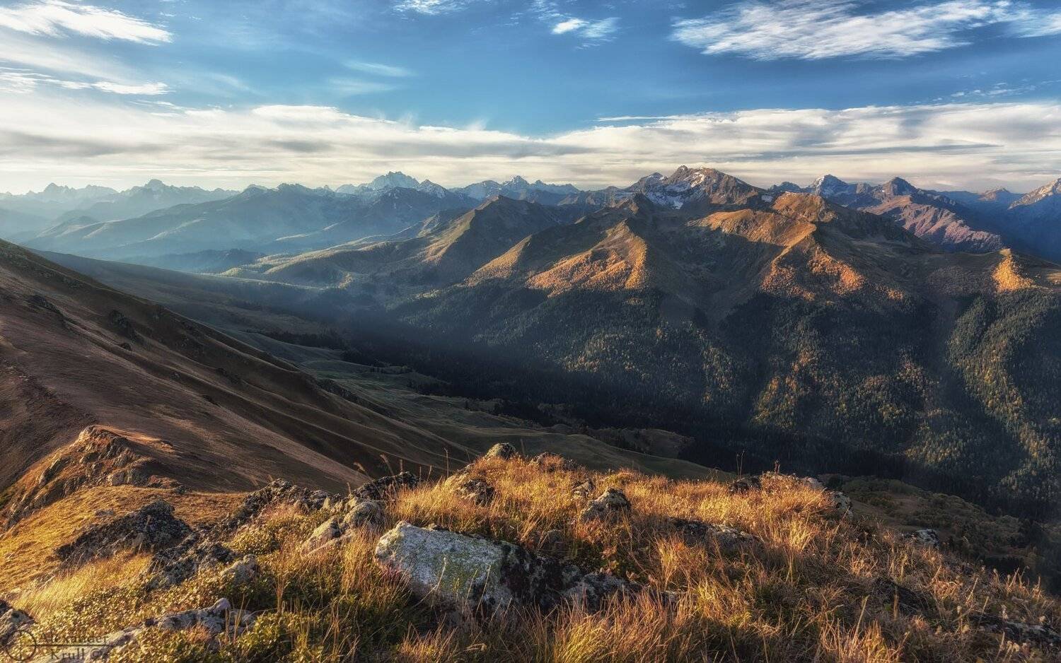 , Александр Круль