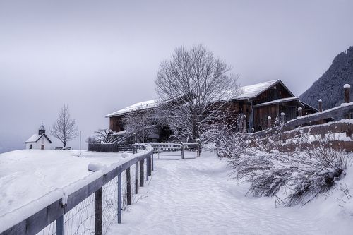 Snow - Capped