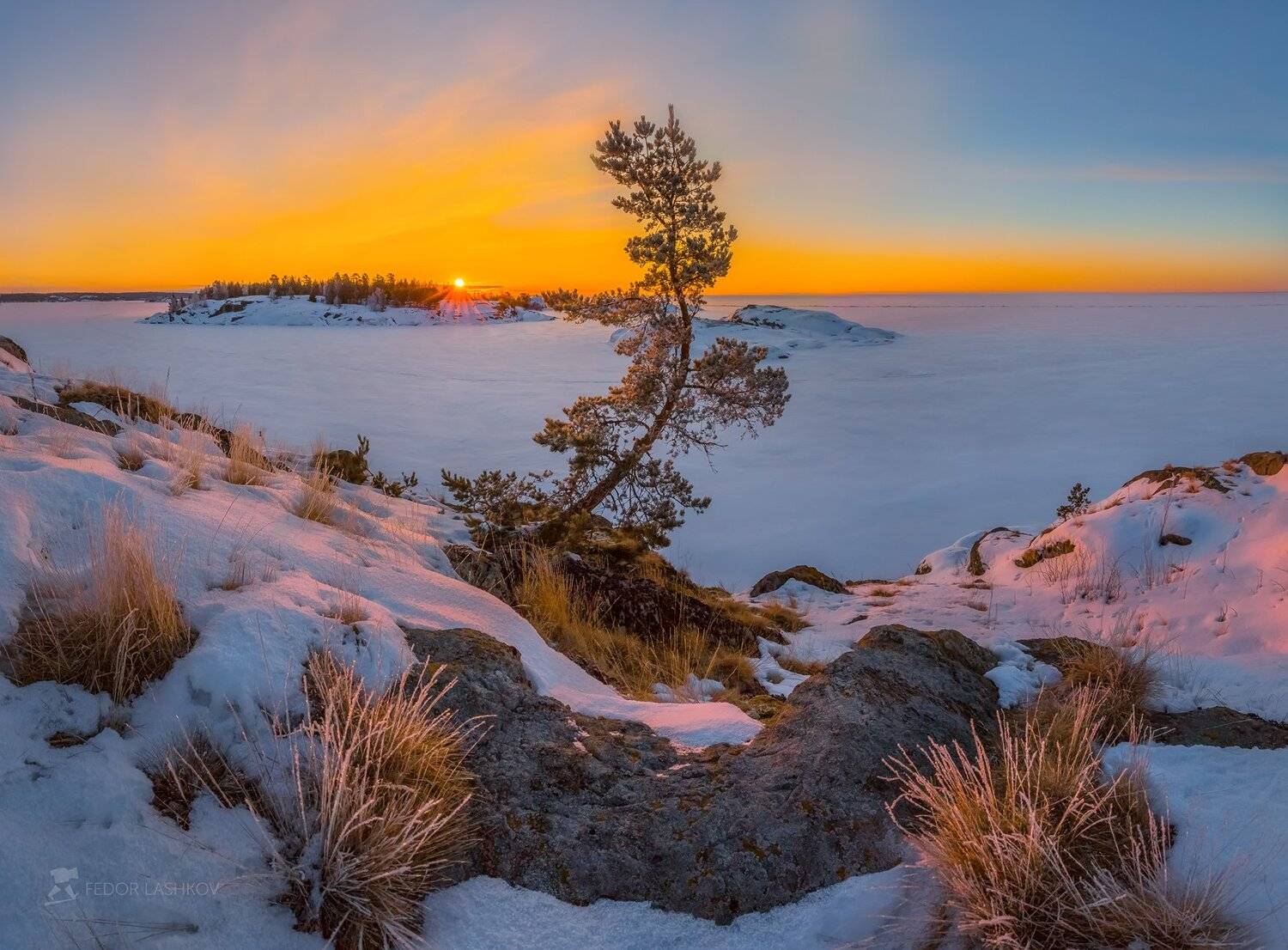 ладожское озеро, карелия, шхеры, природа, скала, остров, зима, рассвет, солнце, снег, сосна, иней, изморозь,, Лашков Фёдор