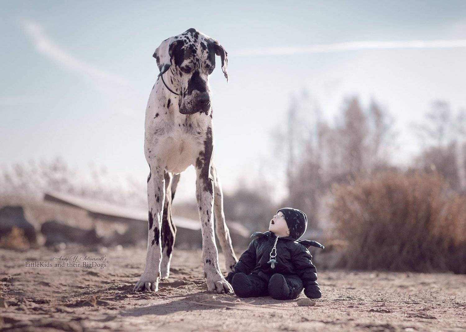 , Андрей Селиверстов