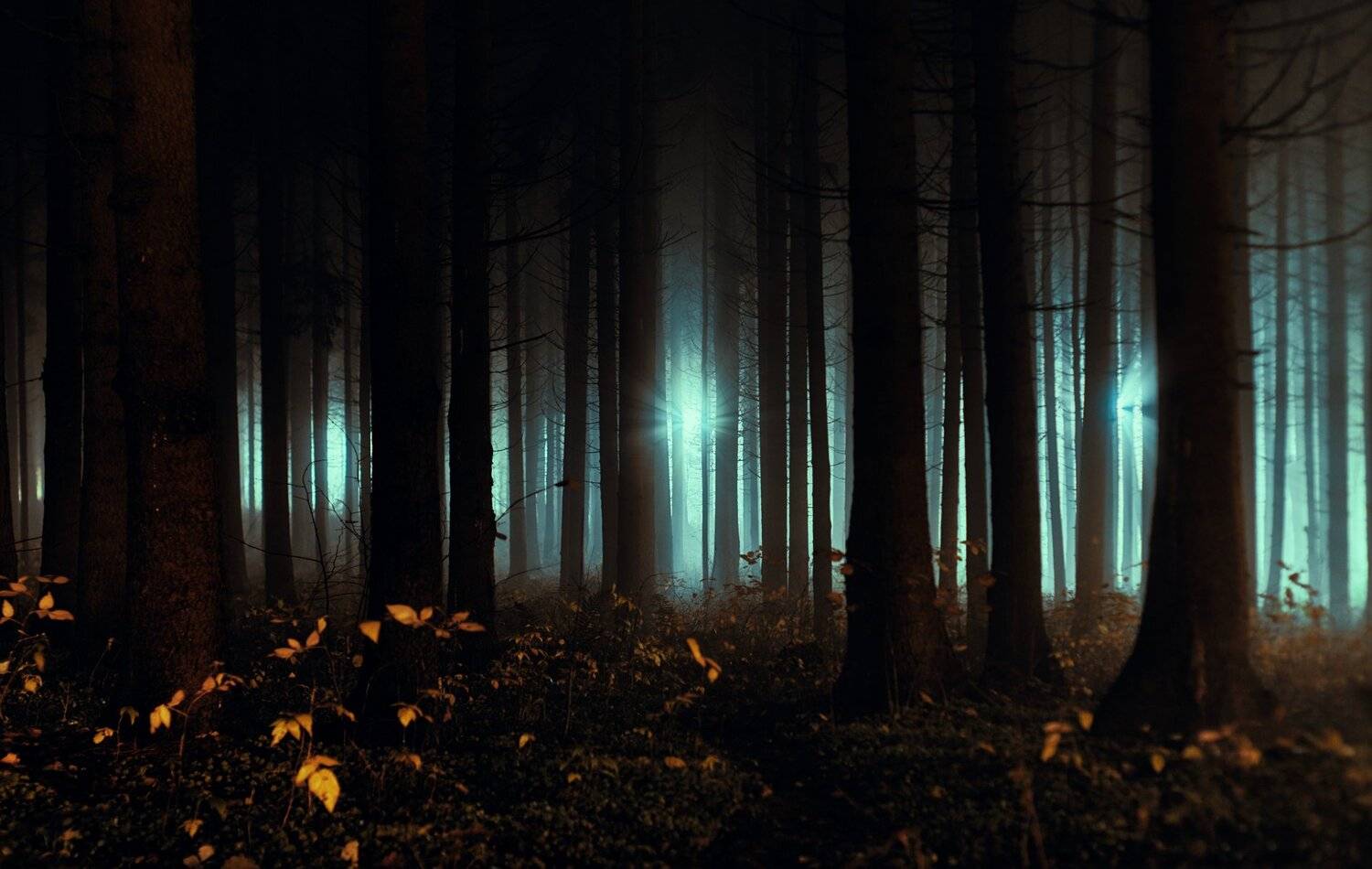 , Александр Фанковин