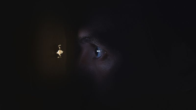 #dervod #drevo #obrazz #severodvinsk Подглядываю за Хичкоком  фото превью