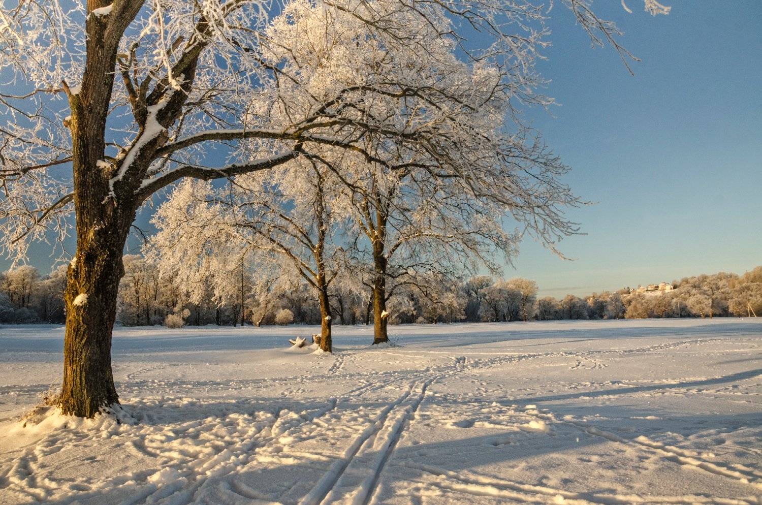 nevant60, пейзаж, красота, андреевский луг, вечер, Александр Березуцкий