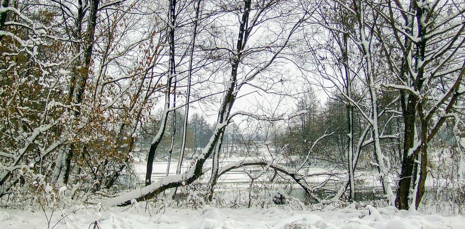 , Руслан Востриков