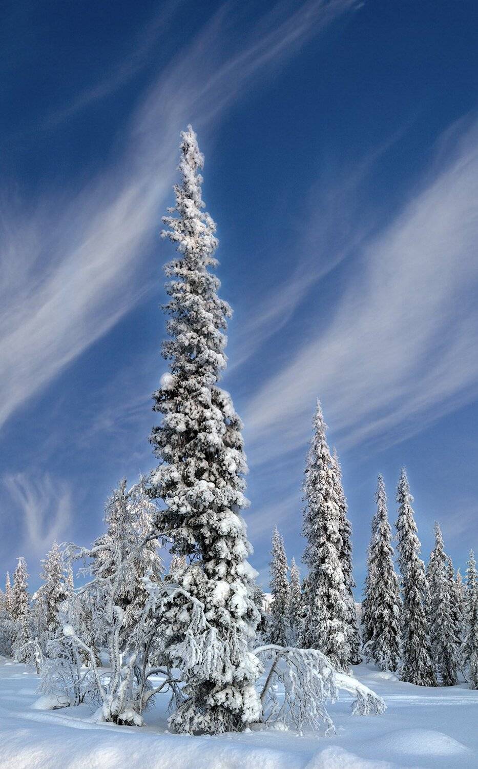 швеция, Lapland