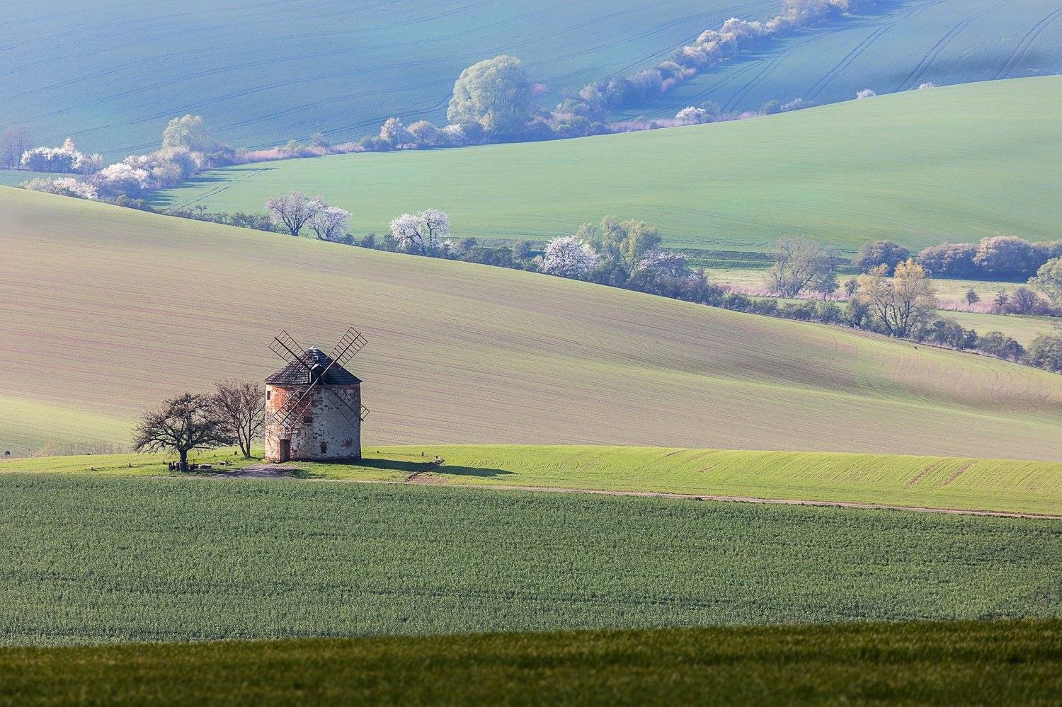 мельница, моравия, весна, поля, Марина Маликова