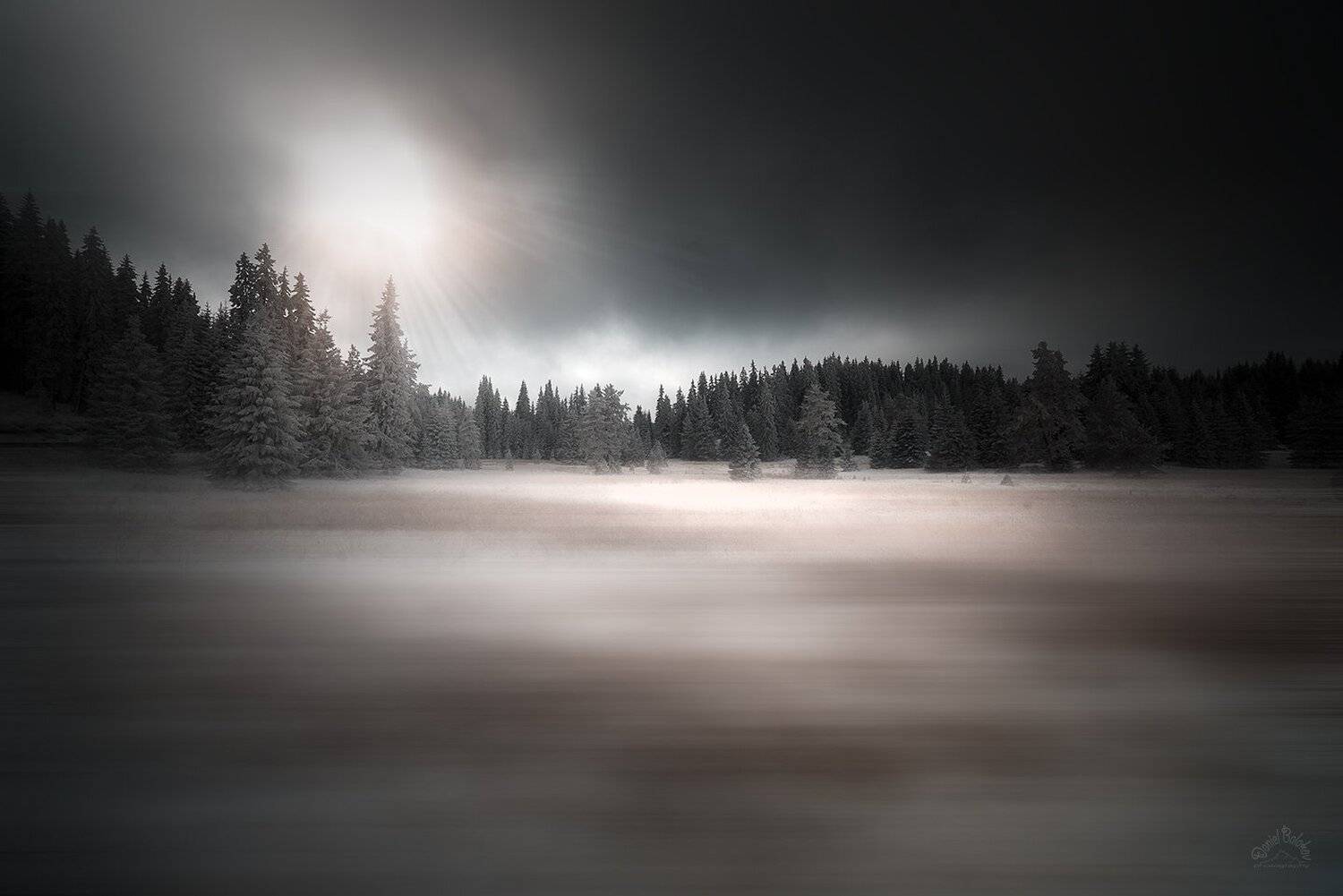 зима, родопы,болгария,сосны,снег, Даниел Балъков