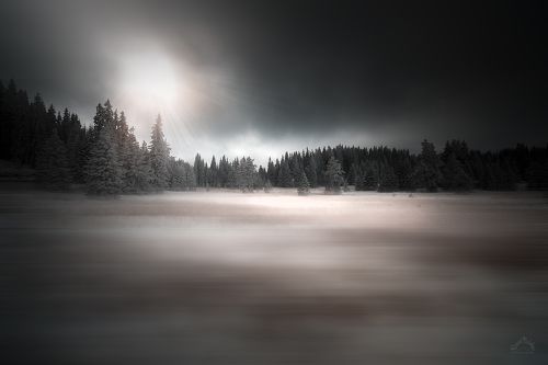 Снежная лужайка
