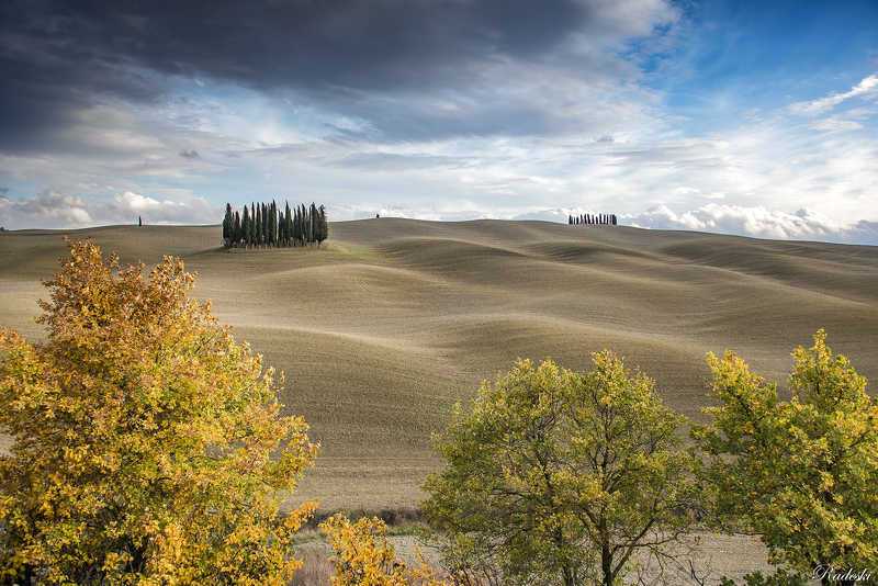 Cipresseto фото превью