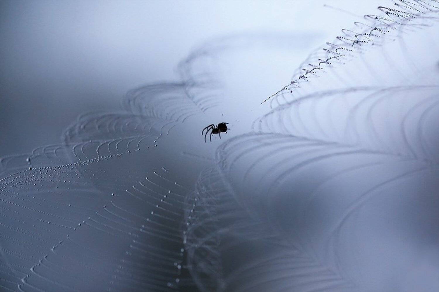 macro,макро, Евгений Лукашук