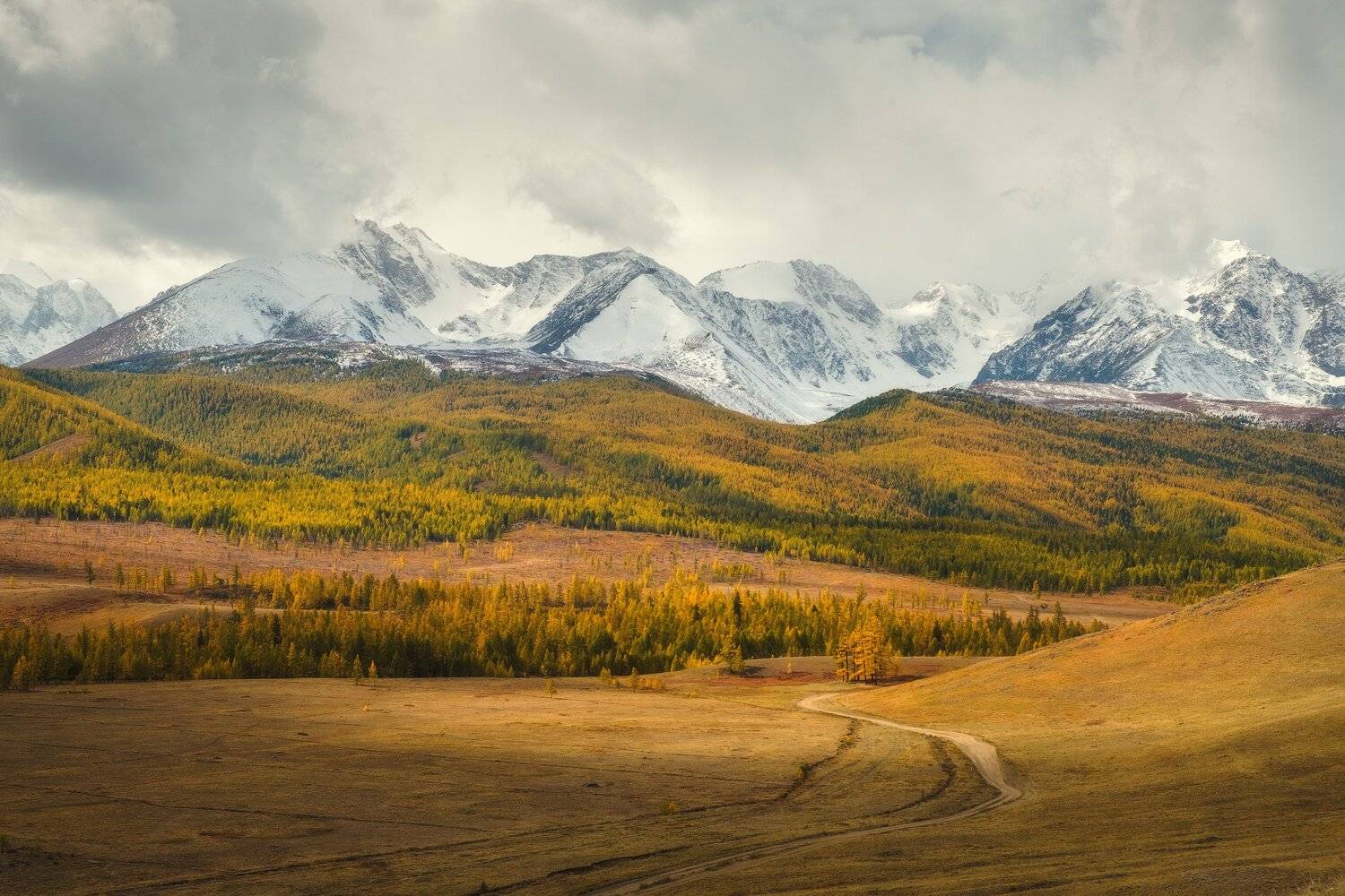 россия, алтай, республика алтай, сибирь, осень, природа, пейзаж, горы, хребет, рассвет, курайская степь, Оборотов Алексей