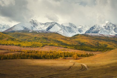 Дорогами Алтая