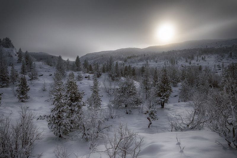 Лунный свет фото превью