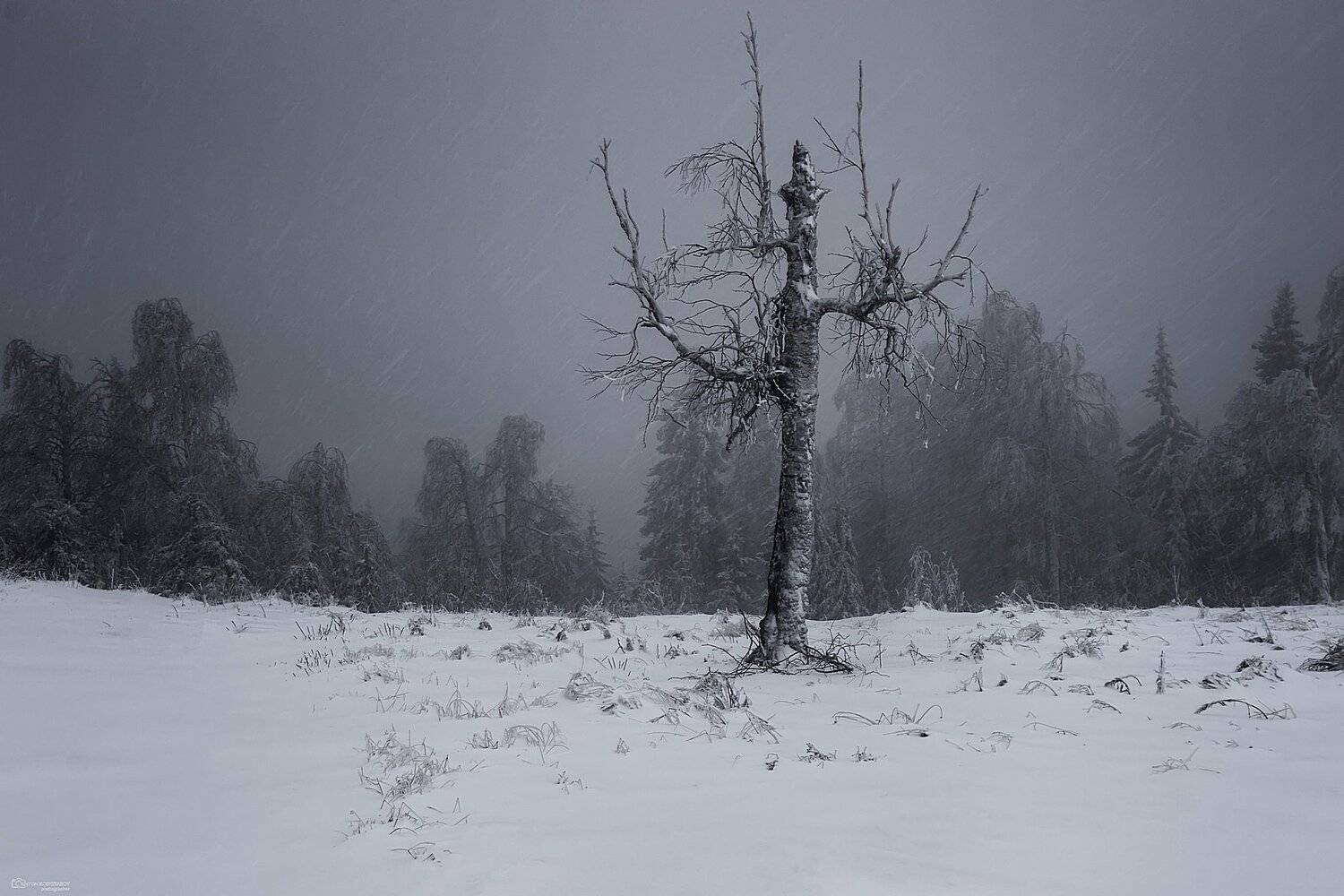 урал, гремячинск, белые камни, Антон Кошетаров