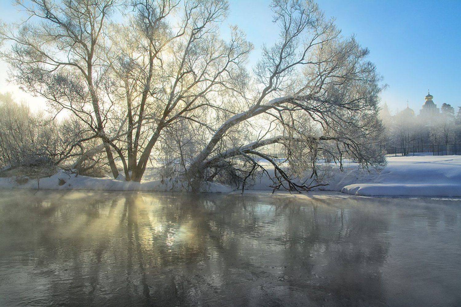 , Анатолий Зверев
